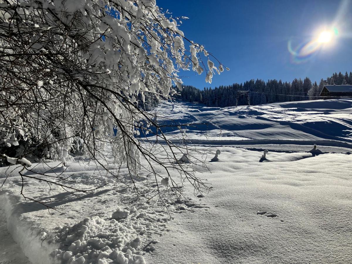 Ferienwohnung Bergblick Am Rande Der Wildnis Sibratsgfäll エクステリア 写真