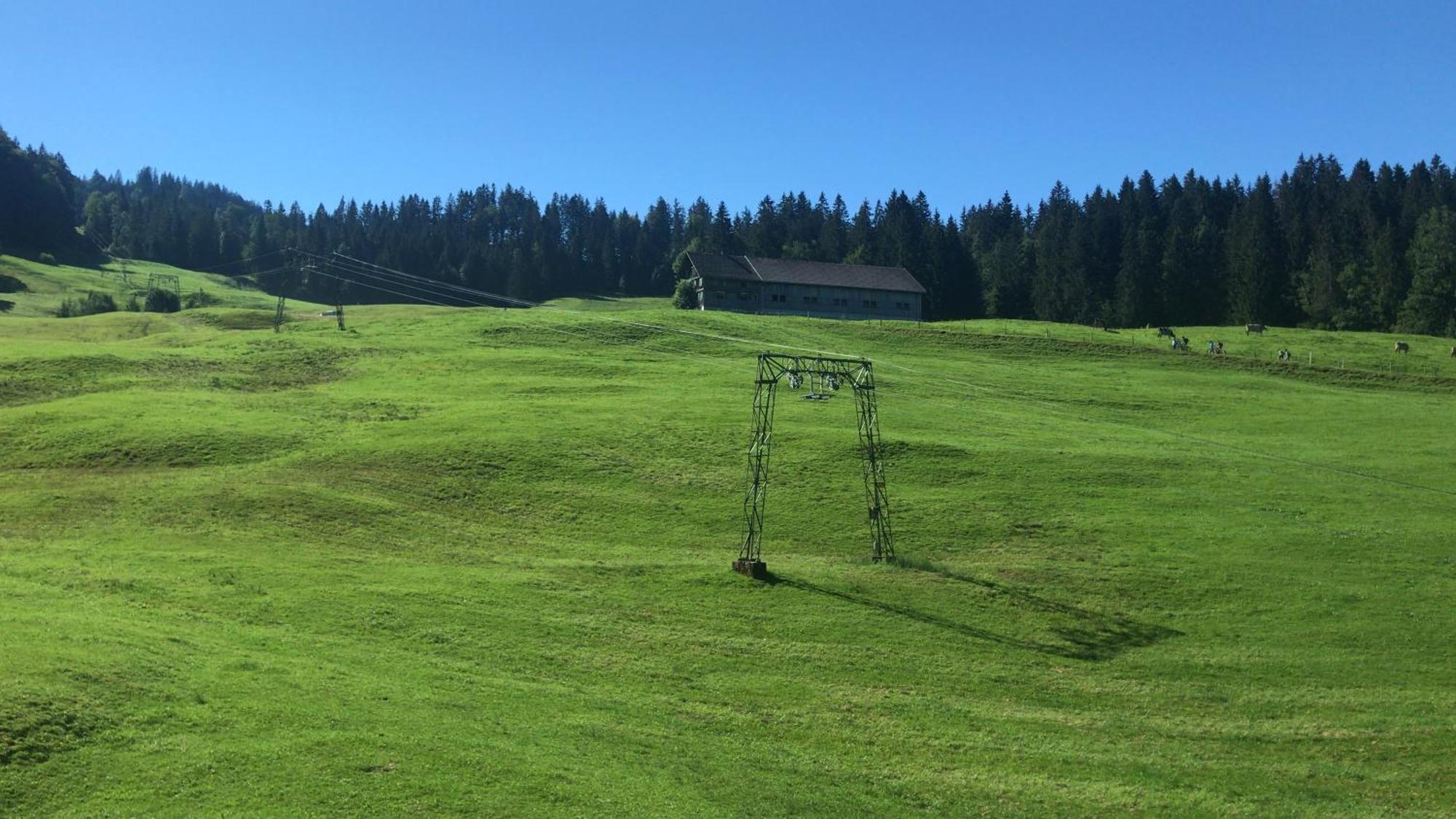 Ferienwohnung Bergblick Am Rande Der Wildnis Sibratsgfäll エクステリア 写真
